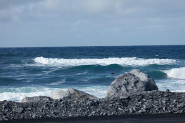 Ocean waves crash against rocks on a shore.  A distant bird or small sea creature is visible in the water.  Coastal scene.