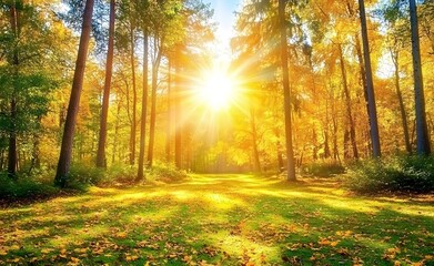 Obraz premium Beautiful forest landscape with trees and sunlight in autumn, a sunny day in the pine woods. Great for a background or wallpaper.