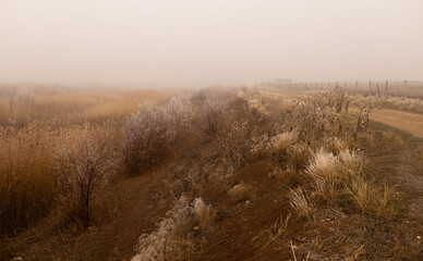 landscape, tree, sky, nature, grass, field, autumn, ice, ice, forest, trees, spring, blue, meadow, winter, clouds, water, season, rural, countryside, road, birch, summer, yellow, cloud, park, dry