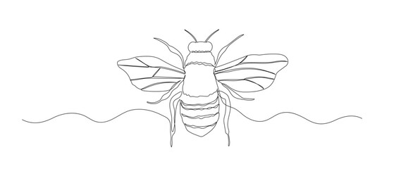 Bee one continuous line sketch. Hand drawn doodle illustration of insect