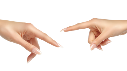 Elegant Female Hands, Nails, Gestures, Touch, Elegance, Beauty, Manicure, Care, Soft, Skin