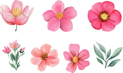 Botanical Watercolor Spring Flowers