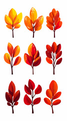 Nine bright autumn leaves with branches, isolated against a white backdrop, possibly for graphic design use.