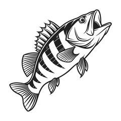 American Yellow Perch Fish Vector Art and Illustration
