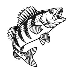 American Yellow Perch Fish Vector Art and Illustration