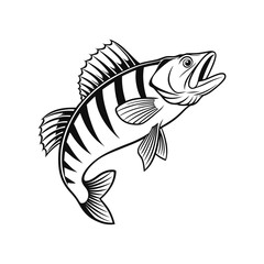 American Yellow Perch Fish Vector Art and Illustration