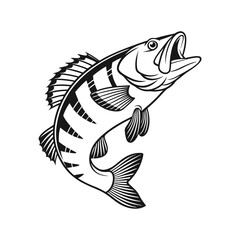 American Yellow Perch Fish Vector Art and Illustration