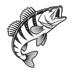 American Yellow Perch Fish Vector Art and Illustration