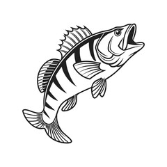 American Yellow Perch Fish Vector Art and Illustration