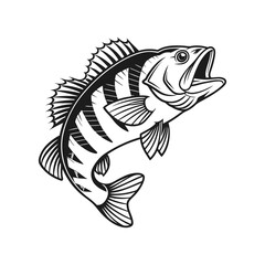 American Yellow Perch Fish Vector Art and Illustration