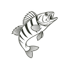 American Yellow Perch Fish Vector Art and Illustration