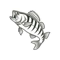 American Yellow Perch Fish Vector Art and Illustration