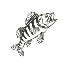 American Yellow Perch Fish Vector Art and Illustration