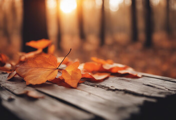 Autumn Table Orange Leaves And Wooden Plank At Sunset In Forest