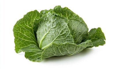Fototapeta premium A large green leafy vegetable