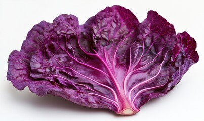 Obraz premium A purple leaf of cabbage