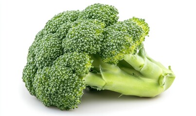 A head of broccoli is sitting on a white background