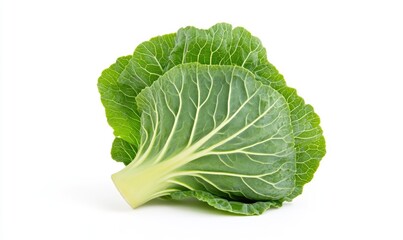 Obraz premium A green leafy vegetable with a stem