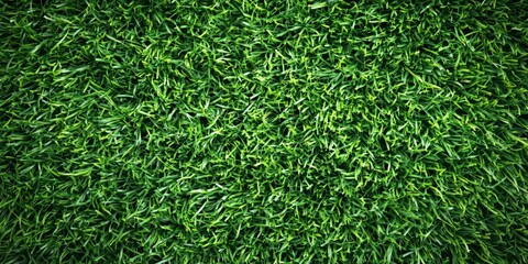 Abstract view of lush green grass background showcasing the vibrant turf grass surface, perfect for highlighting the beauty of green grass in various creative projects.