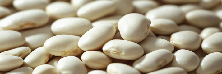 World Legume Day, the legume plant. beans, peas