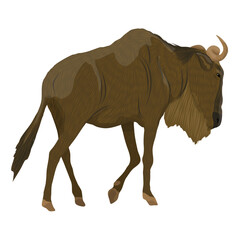 Wildebeest gnu. Realistic vector animals