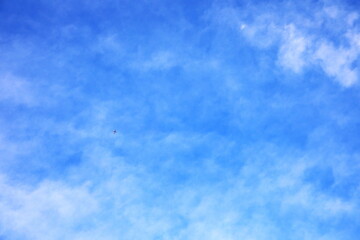 上空を飛ぶ飛行機