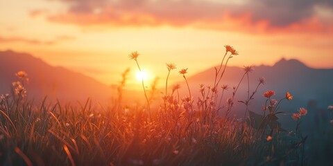 Cinematic film tone captures the beauty of a sunrise in the morning, creating a stunning visual experience. This sunrise in the morning enhances the cinematic quality of everyday scenes.