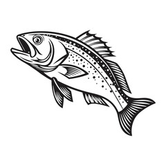 Atlantic Croaker Fish Vector Art and Illustration