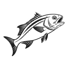 Atlantic Croaker Fish Vector Art and Illustration