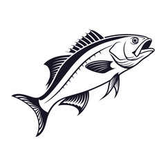 Atlantic Croaker Fish Vector Art and Illustration