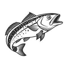 Atlantic Croaker Fish Vector Art and Illustration
