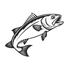 Atlantic Croaker Fish Vector Art and Illustration