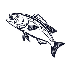 Atlantic Croaker Fish Vector Art and Illustration