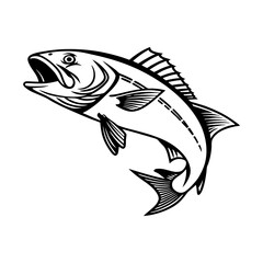 Atlantic Croaker Fish Vector Art and Illustration