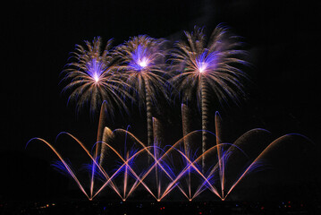 Spectacular Symmetrical Fireworks Gold and Blue