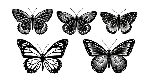 A vector silhouette image of a butterfly icon with a white background