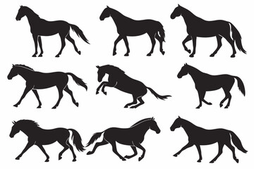 silhouettes of horses