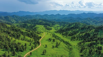 Naklejka premium A breathtaking view of rolling green hills under a cloudy sky, featuring winding paths throughout the serene mountainous landscape.