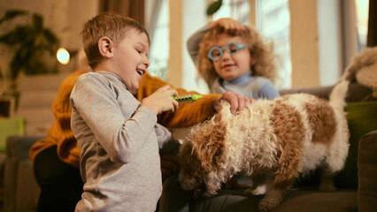 Boy laughing while girl examines dog's health under grandmother's supervision, fun activity highlighting importance of hands-on learning for health care basics. Concept of knowledge about medicine.