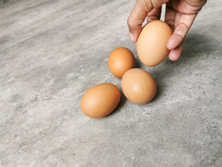 Chicken eggs in hands