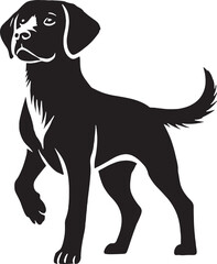 Dog silhouette collection vector. Dog in various poses and activities like jumping, sitting, running, playing, and standing. Silhouette black puppies, pet dog vector isolated on a white background