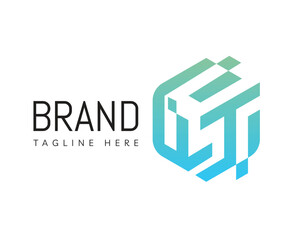 Hexagon logo icon design template elements. Usable for Branding, Business and Technology Logos.
