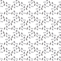 Watercolor black and white seamless pattern with plants and beetles