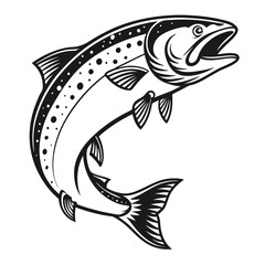Atlantic Salmon Fish Vector Art  Illustration
