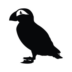 Puffin bird black and white silhouette illustration isolated on a white background