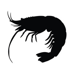Shrimp black silhouette illustration isolated on a white background