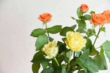 オレンジ色と黄色のばら