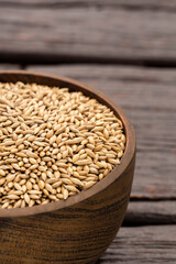 Bird seed food grain - Phalaris canariensis.