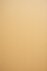 Obraz premium The wooden surface appears plain with a visible lack of texture or design elements throughout its entire area._00002_