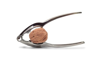 Photo of a modern stainless steel nutcracker, elegantly designed for effortless nut cracking,...